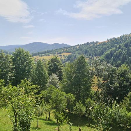 Apuseni Holidays Havasrekettye Kültér fotó