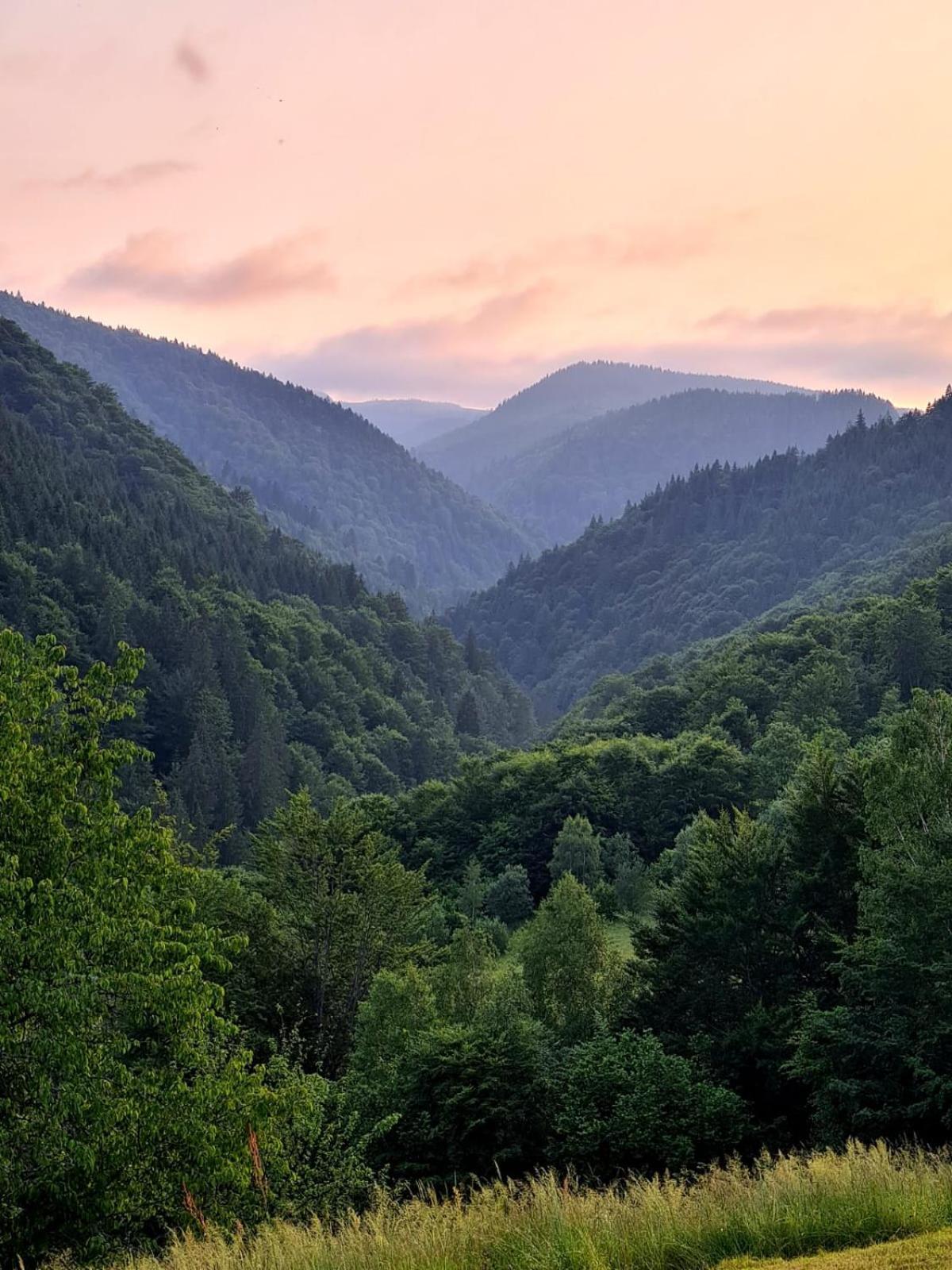 Apuseni Holidays Havasrekettye Kültér fotó