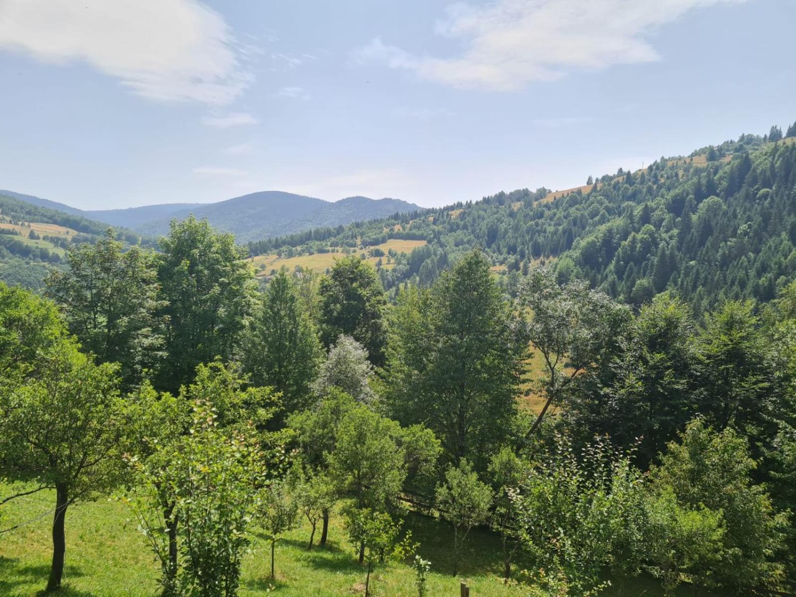 Apuseni Holidays Havasrekettye Kültér fotó